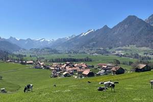 IMG_8354