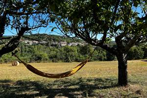 IMG_6323 (1)