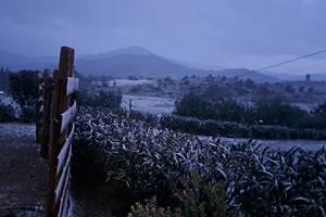 Jour de neige en 2025