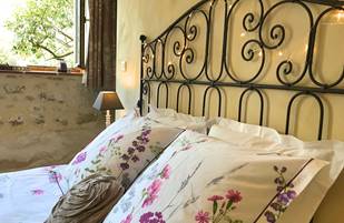 Chambre de charme Fleur de Vigne, grand lit