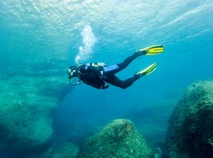 Découverte des fonds marin - Cip Collioure - Plongée