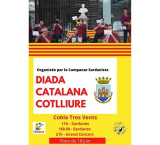 Diada Catalana 