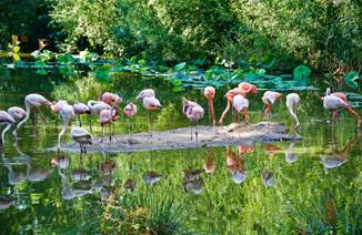 Branféré : Parc animalier et botanique - Parcabout