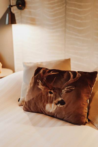 Ambiance cosy de la chambre