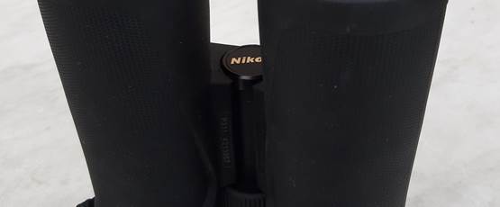 Jumelles 10x42