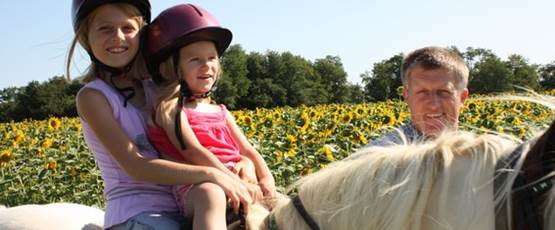 poney