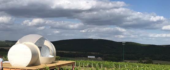 Bulle au milieu des vignes