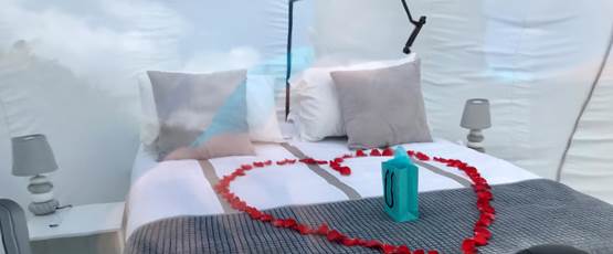 Pack Romantique Flower Bulle