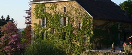 Bienvenu au Clos Dauphin .....