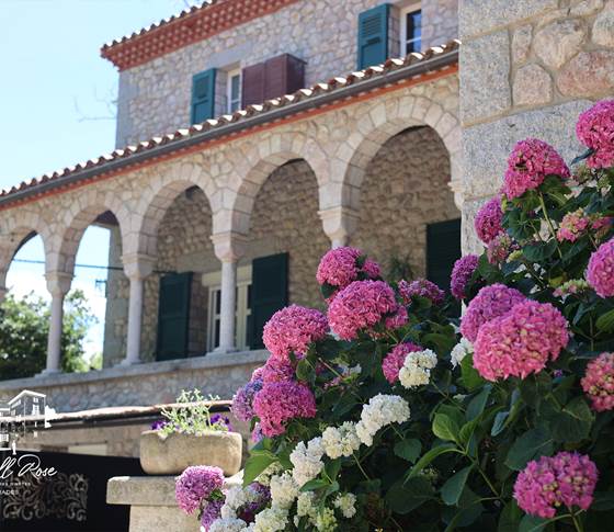 Castell Rose