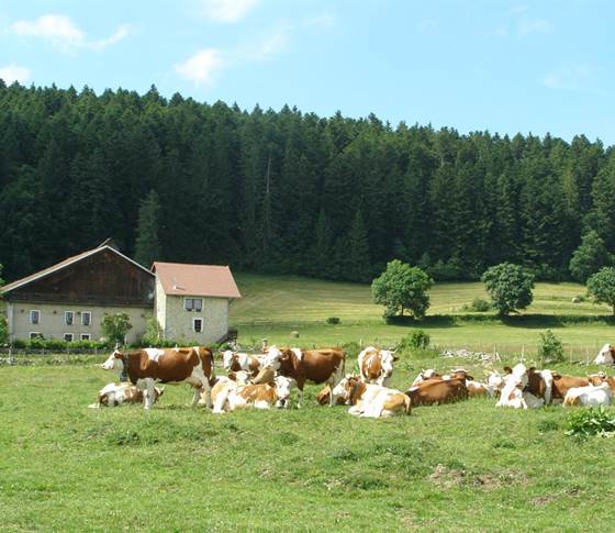 La Ferme-Auberge des Louisots