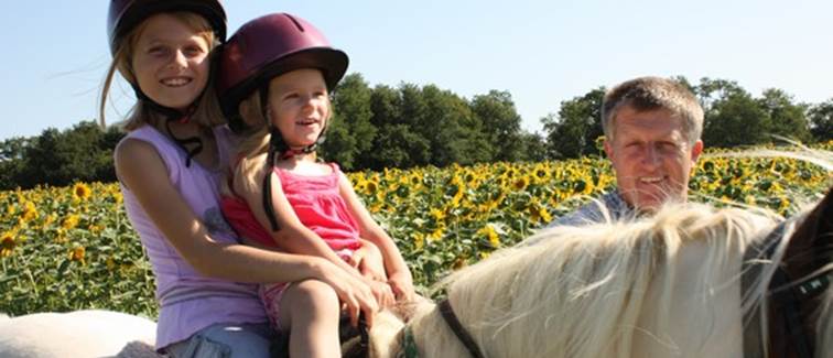 poney