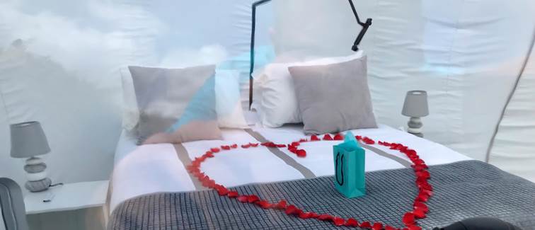 Pack Romantique Flower Bulle