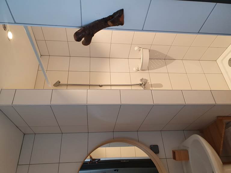 douche sanitaires