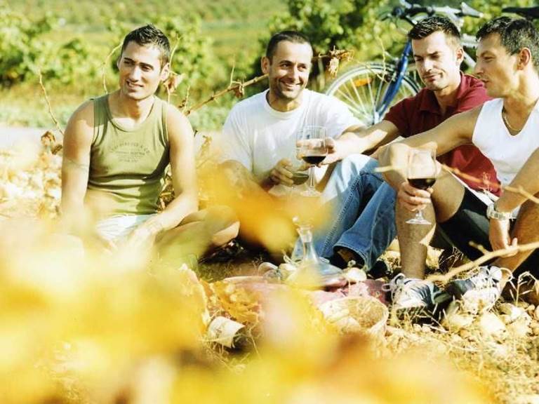 balades a vélo dans le vignoble et visites de caves