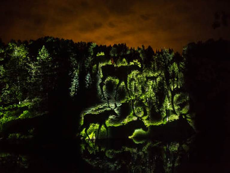 anima-lumina-parcours-nocturne-illumine-au-zoo-sauvage-de-saint-felicien-anima-lumina