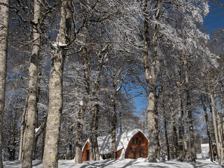 Ambiance d'hiver