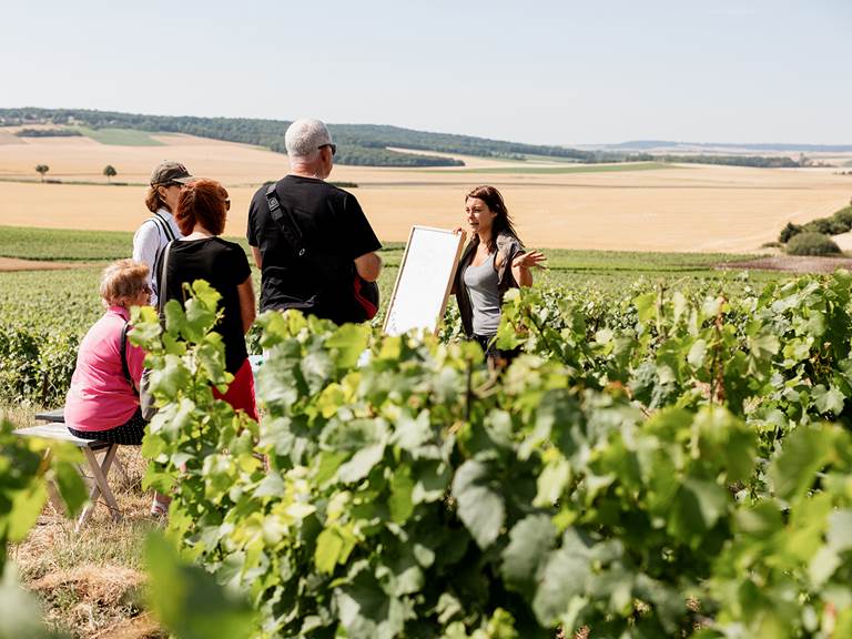 Visite du vignoble de Champagne