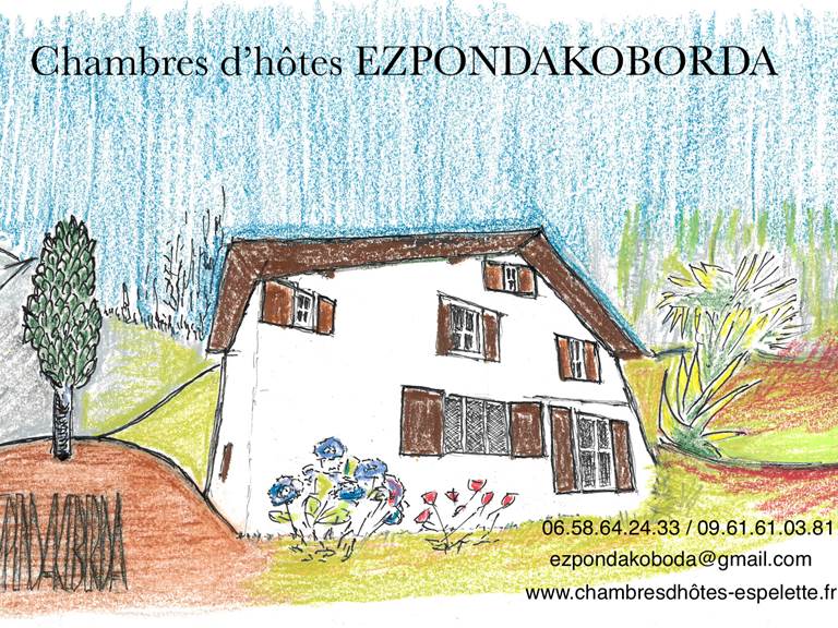 logo + info