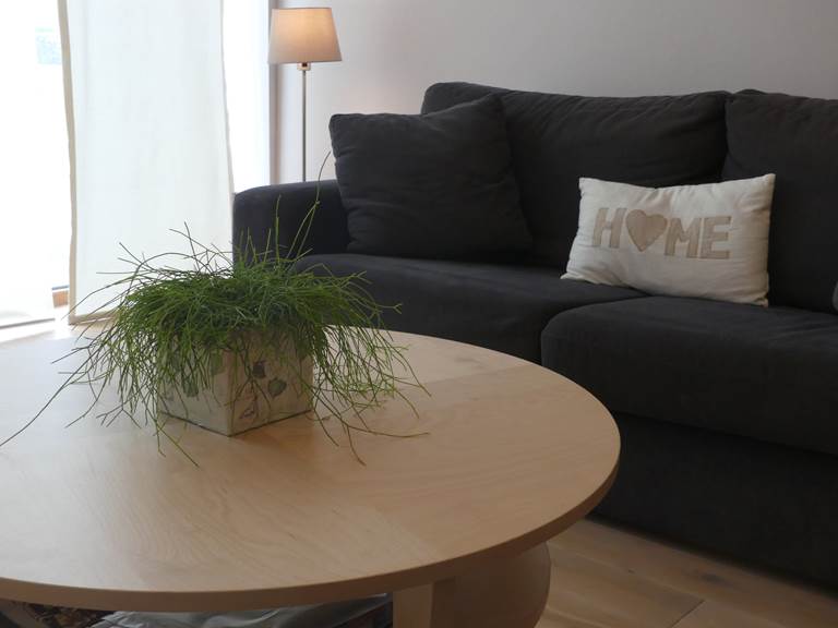 salon gîte 1