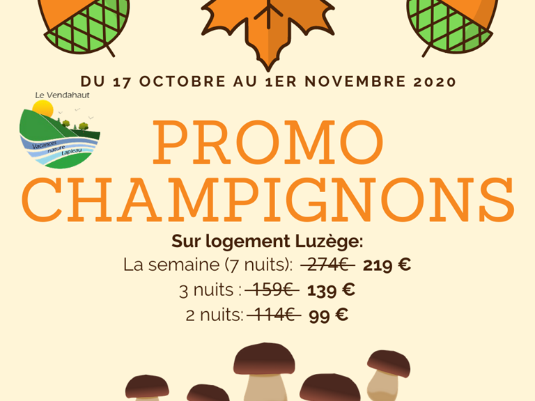 Promo champignons2020