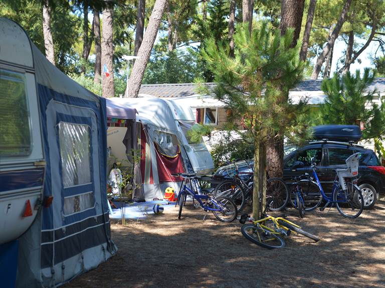 Emplacement Standard - Camping Les Pins - Ile d'Oléron