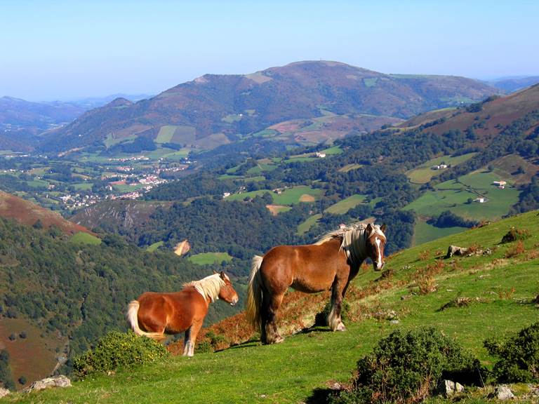 Libres au Pays Basque