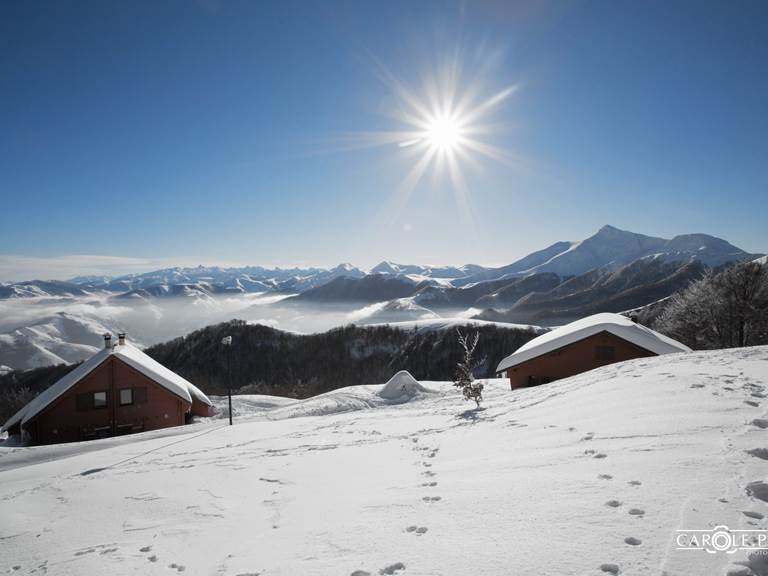 Paysage d'hiver