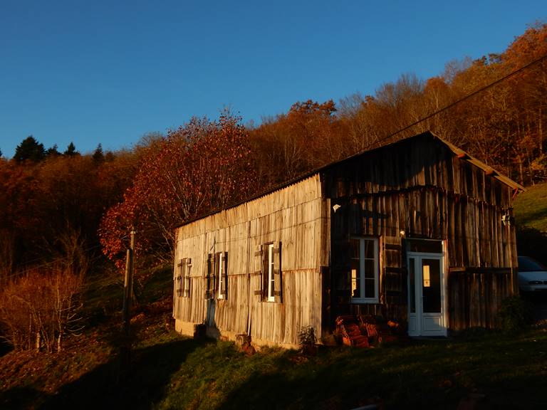 Couleurs d'automne