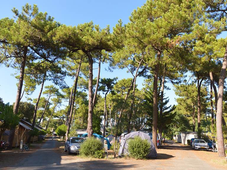 Emplacement Branché - Camping Les Pins - Ile d'Oléron