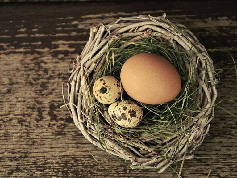 egg-1272815_960_720