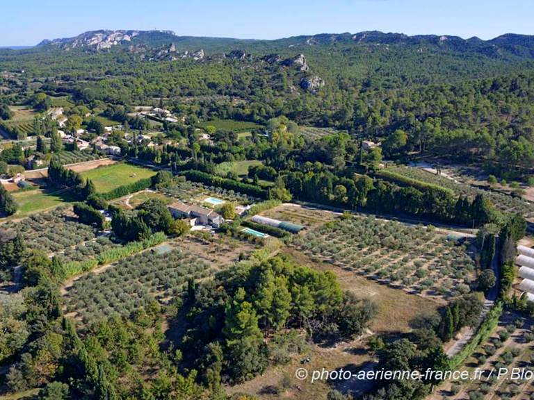 13mas-des-figues-24-1018