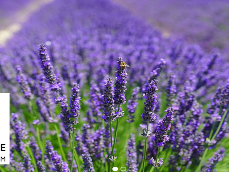 mas en provence