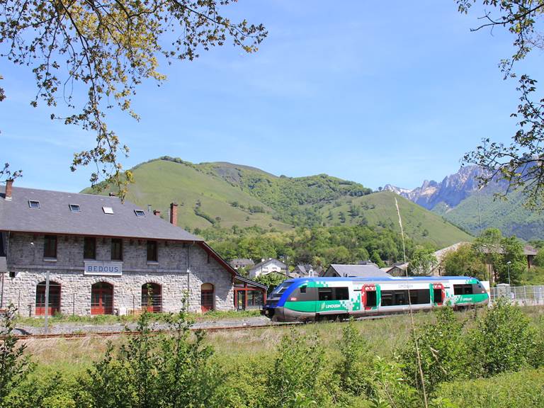 Transhumance & cie - TER