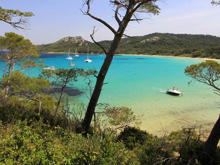 Littoral