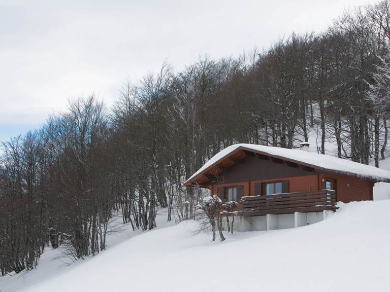 Chalet Montcalm à l'orée de la forêt