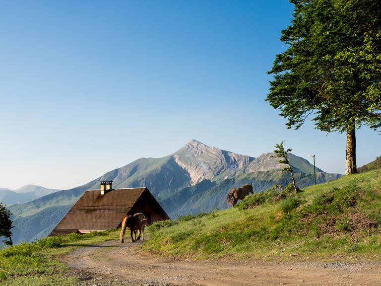 Vue sur Pic d'Orhy depuis le chalet
