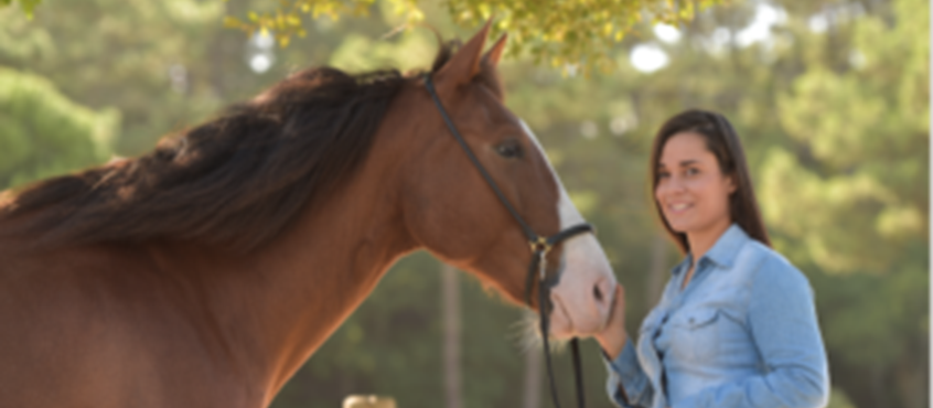 Chevaux_Changez_Fleurat-300x160