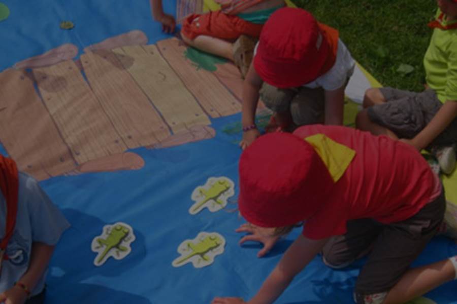 animations-ecole