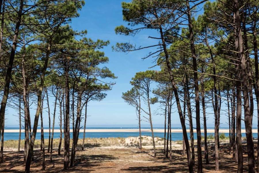 Un littoral de plus de 100 km et La plus vaste forêt de pins d’Europe