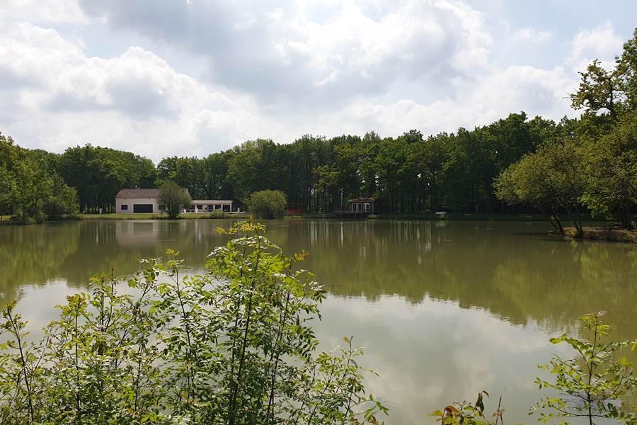 vu du domaine