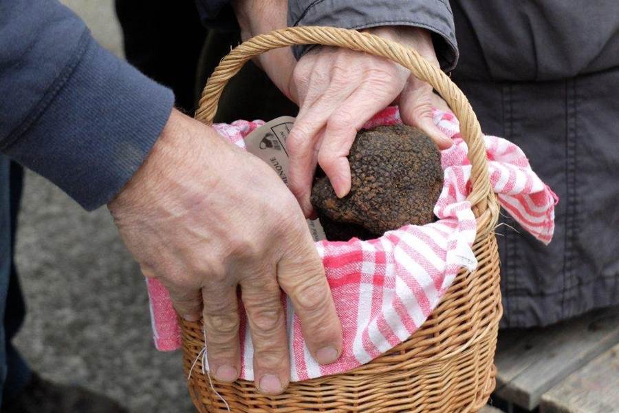 Marché aux truffes