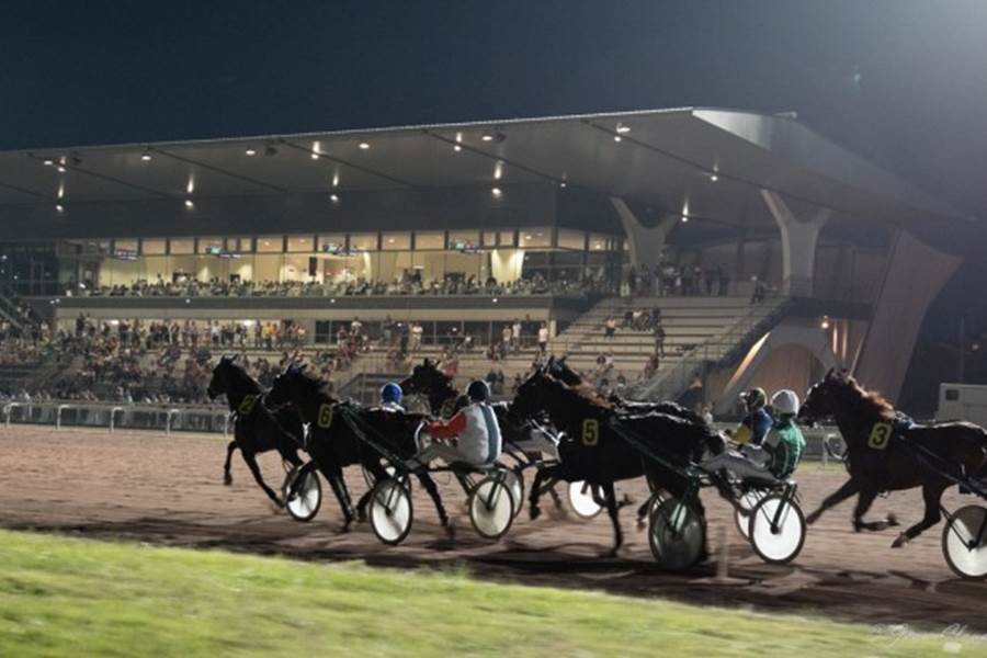 800x600_courses-de-trot-1177988
