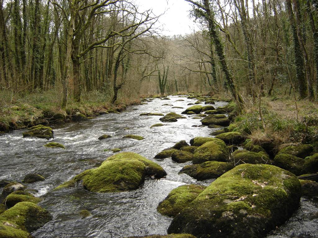 Vallée de l'Ellé