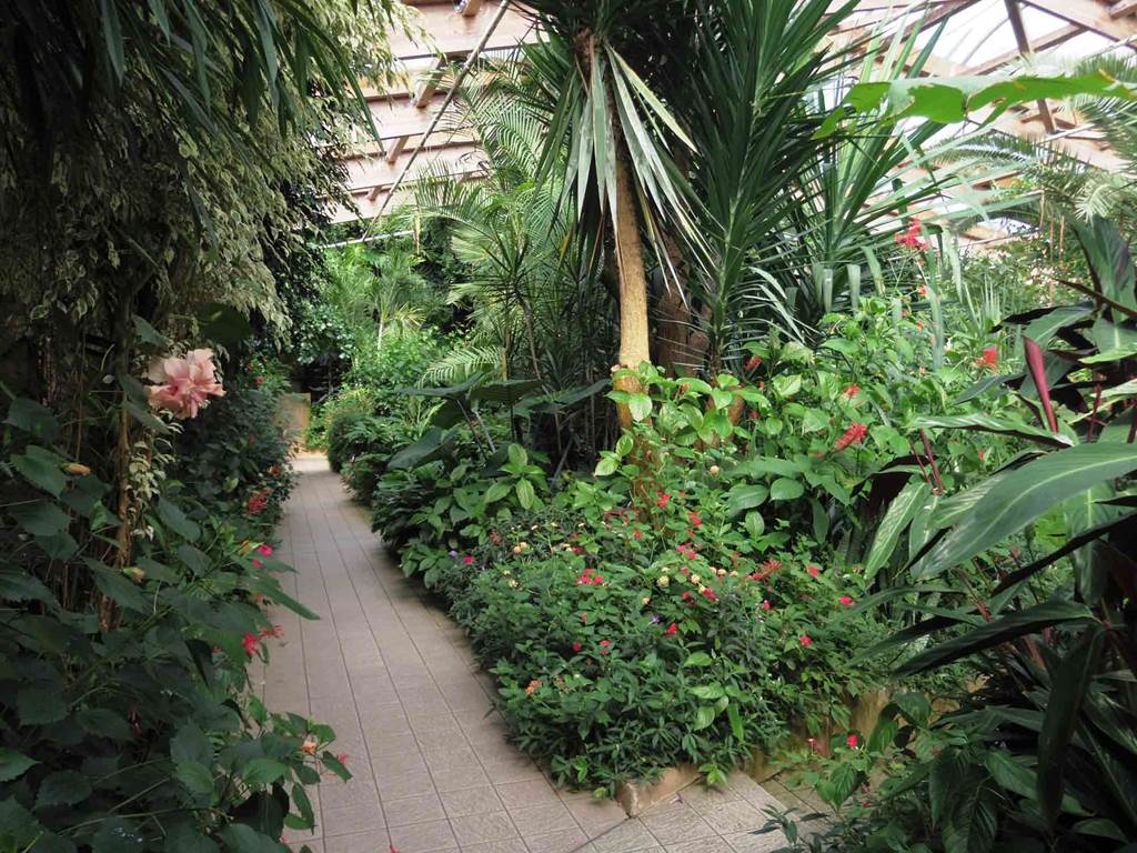 Jardin aux Papillons
