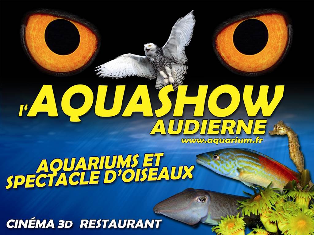Aquashow