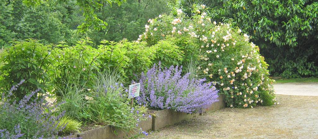 Jardin de Keroguic